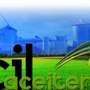 CIL 2